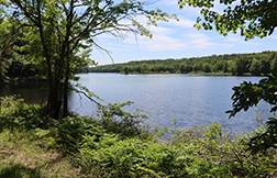 SaversBank_Charlton3