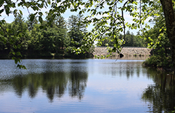 SaversBank_Charlton4