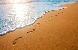 SaversBank_Footprint1