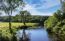 SaversBank_Southbridge2