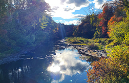 SaversBank_Southbridge3