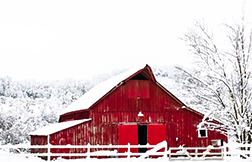 SaversBank_WinterBarn1