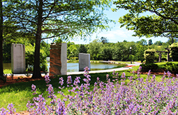 SaversBank_Worcester1