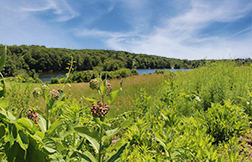 SaversBank_Worcester3