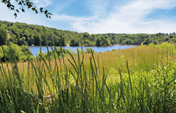 SaversBank_Worcester4