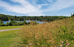 SaversBank_Worcester5